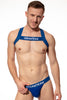 Klassischer Jock Breed Me & Harness Blau