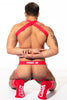 Klassischer Jock Breed Me, Harness & Collecting Loads Socken Rot